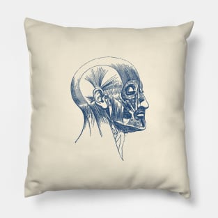 Facial Muscle Diagram - Vintage Anatomy Pillow