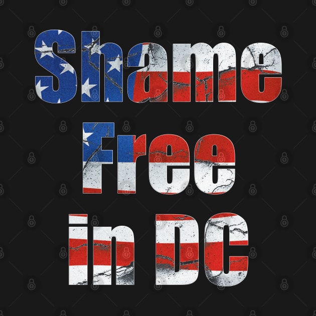 Shame Free in DC by JAC3D