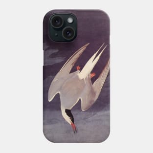 Arctic Tern Phone Case