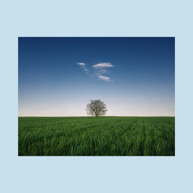 a tree in the wheat field by psychoshadow