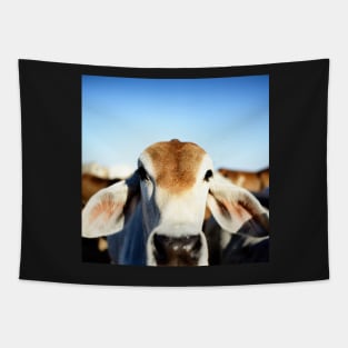 Brahman Cow Tapestry