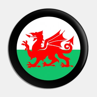 Welsh Dragon Pin