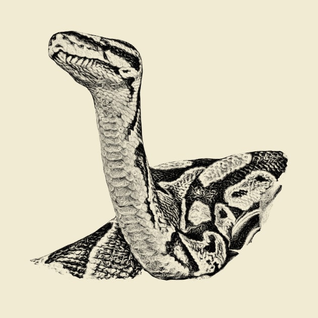 Python by Guardi