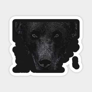 Bear Stare Magnet