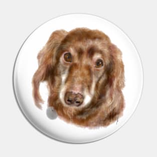 Happy Long Hair Dachshund Pup Pin