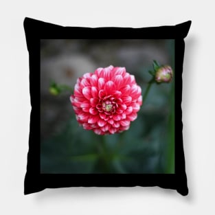 flower Pillow