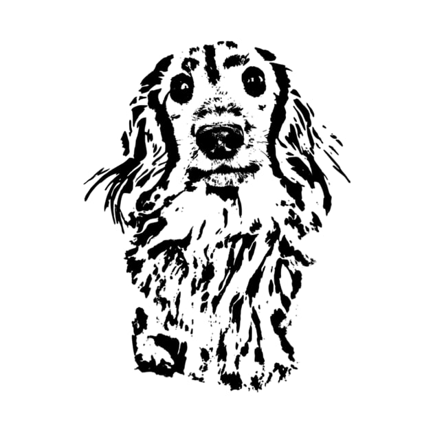 Long Haired Dachshund Sketch by Xamgi