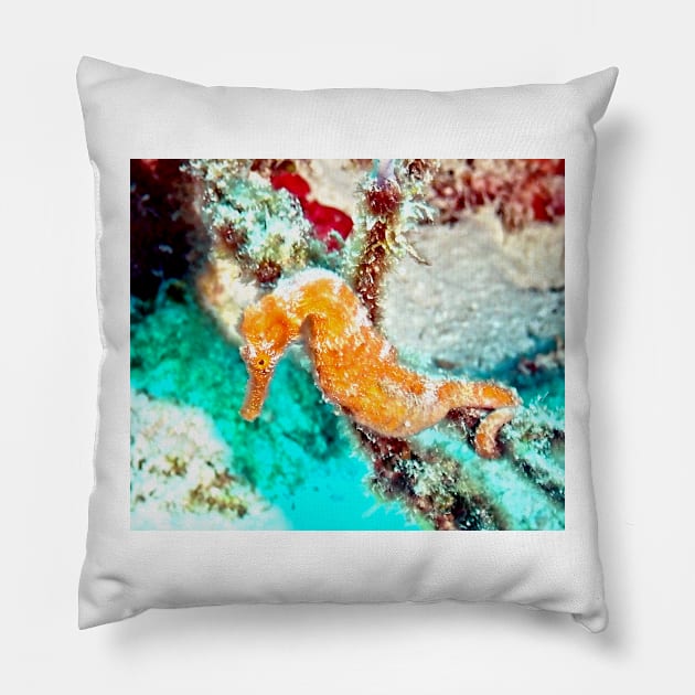 Orange Caribbean Sea Horse Pillow by Scubagirlamy