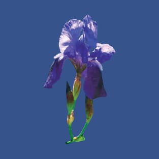 Irises - Iris and Buds T-Shirt