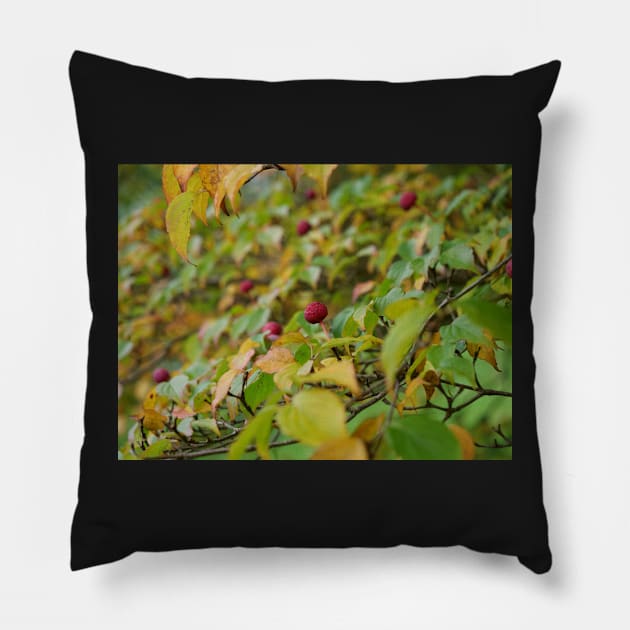 Red tree fruit Pillow by fantastic-designs