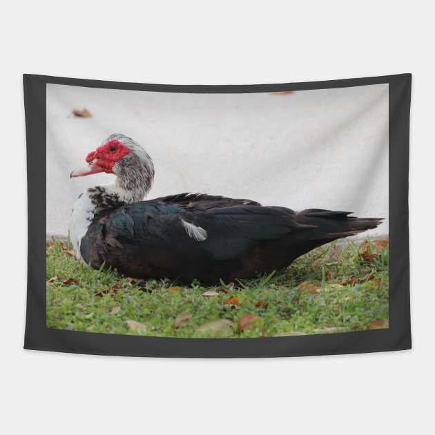 Not The Most Beautiful Duck Tapestry by Judy Geller