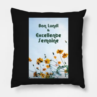 Bon Lundi & Excellante Semaine Pillow