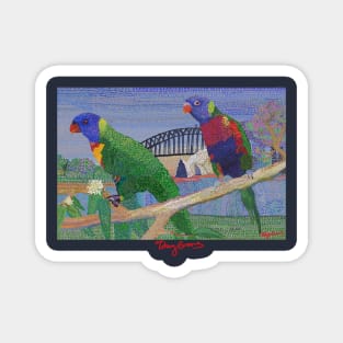 Lorikeets in Sydney Garden Magnet