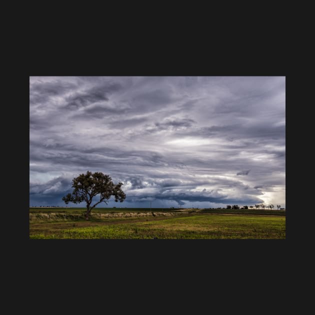 A Lone Tree Against the Storm by krepsher