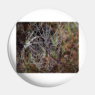 Spider Web with Water Doplets on a Foggy Morning Pin