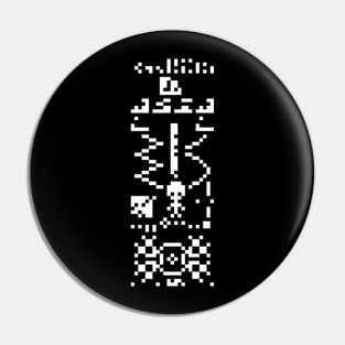 The Arecibo Reply Pin