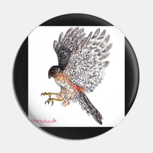 Sparrowhawk drawing Pin