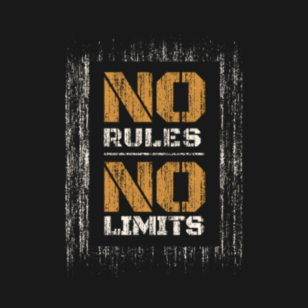No Rules No Limits - Funny Extreme Sports Gift - Hoodie ...