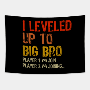 I leveled Up To Big Bro Player 2 Joining... Tapestry