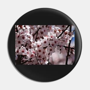 Japanese Cherry Tree (#4) Pin