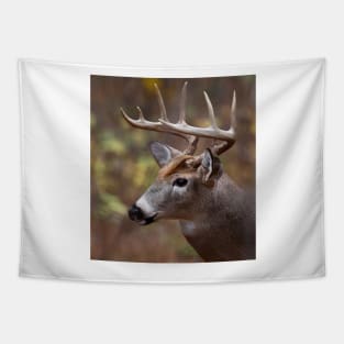 White-tailed Deer Tapestry