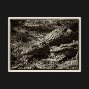 Vintage Alligators T-Shirt