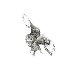 flying owl T-Shirt