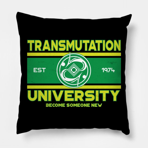 Transmutation University Pillow by PixelSamuel