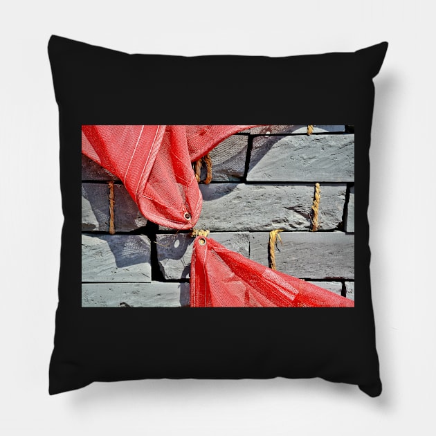 Red And Grey Pillow by AlexaZari