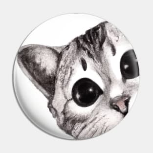 Cute Cat Drawing Pin