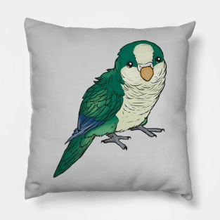 Bluegreen quaker Pillow