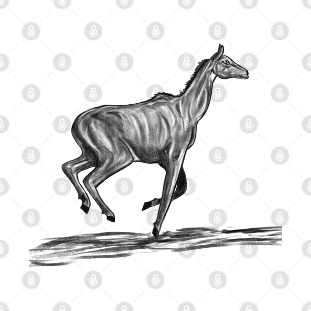 Nilgai by Aniket Patel