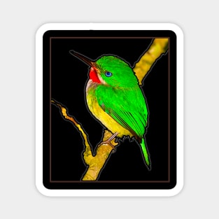 San Pedrito Puerto Rican Bird Magnet