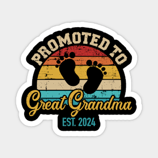 Promoted to great grandma 2024 vintage retro Magnet