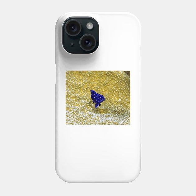 Juvenile Yellowtail Damselfish Phone Case by Scubagirlamy