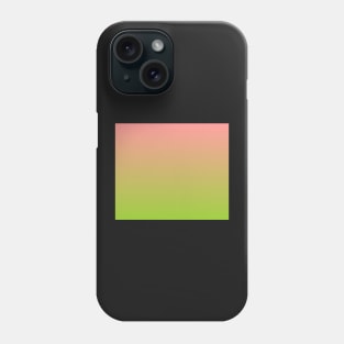 Soothing Ombre Effect Phone Case