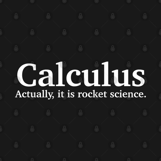 Calculus Is Rocket Science by zap