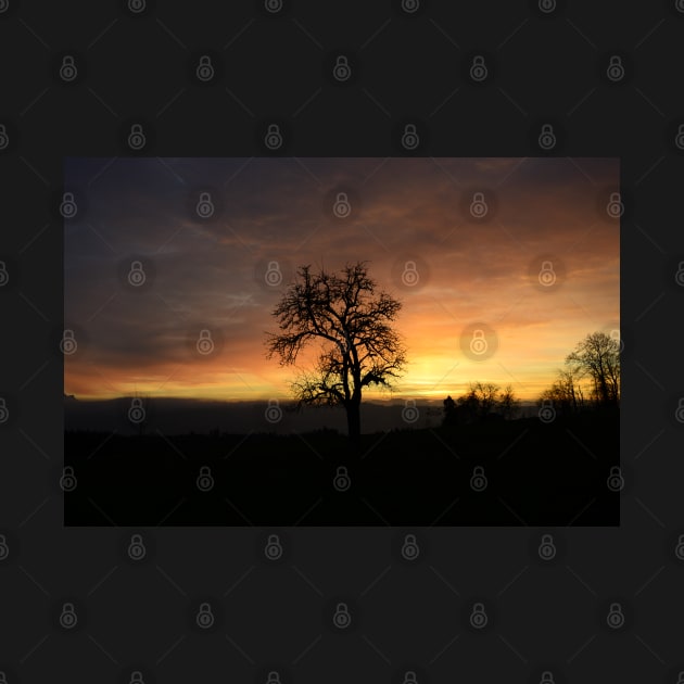 Tree sunset / Swiss Artwork Photography by RaphaelWolf