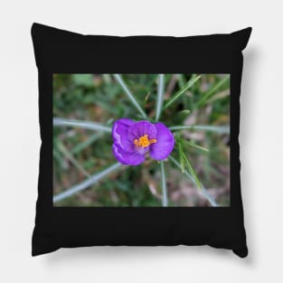 Purple and Orange Flower 1 Pillow