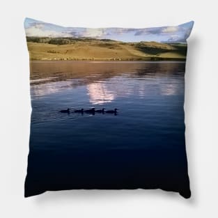 Family of Ducks on a Lake Pillow