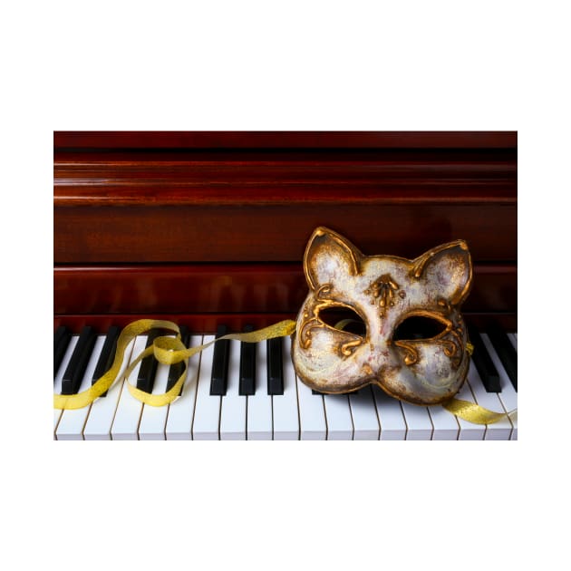 Cat Mask On Piano Keys by photogarry