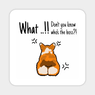 Dog Welsh Corgi What ...!! Don't you know who's the boss?! Magnet