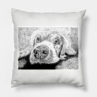 Labrador Pillow