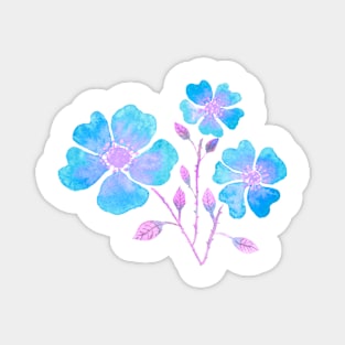 Wild Roses in Blue Magnet