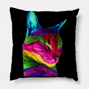 Multicolored Cat Pillow