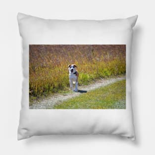 Maisy on the Prairie Pillow