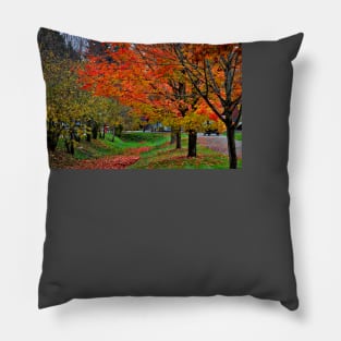 Bright Orange Fall Colors Pillow