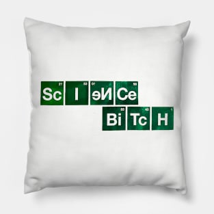 Science Bitch Pillow