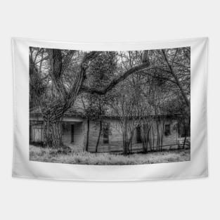 Shadows and Tall Trees - Black And White Tapestry