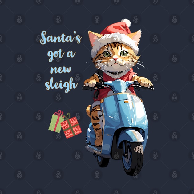 Santa Cat has got a new sleigh by BrisaArtPrints